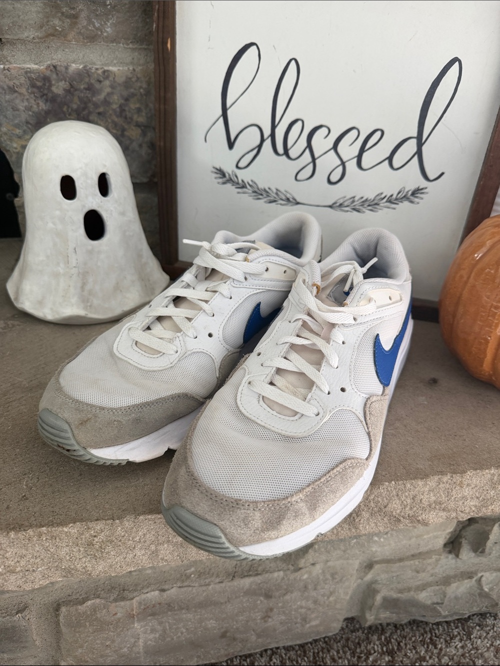 Nike Men’s White and Blue Casual Athletic Sneakers